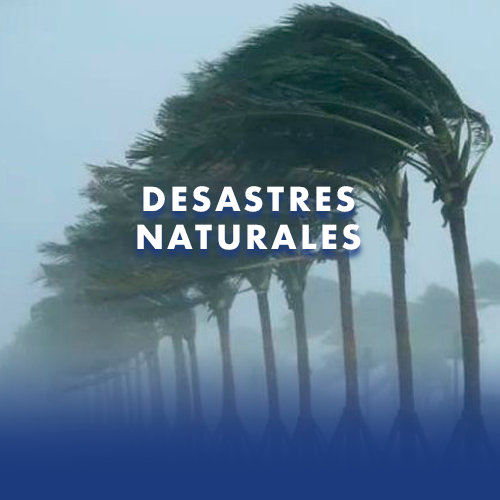 ¿Qué puede provocar cortes de energía? Desastres Naturales